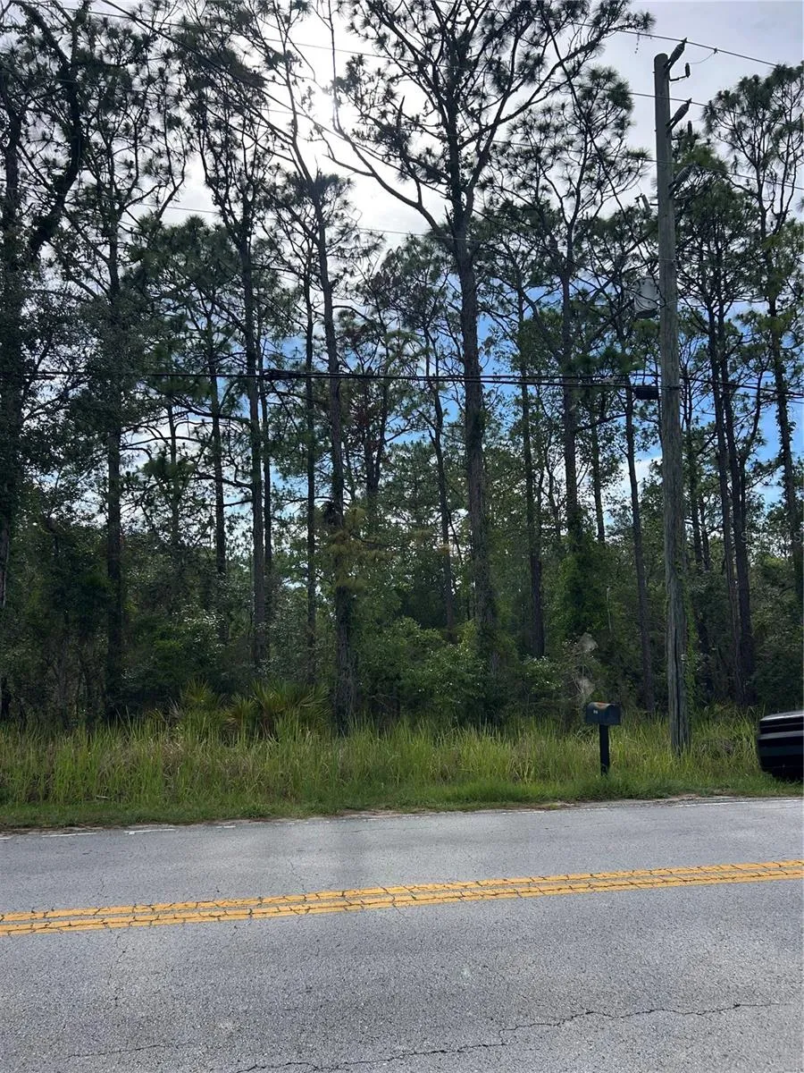 8131 NIGHTINGALE ROAD Weeki Wachee, FL 34613