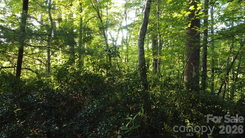 0000 Havens Creek Road #4 Black Mountain, NC 28711