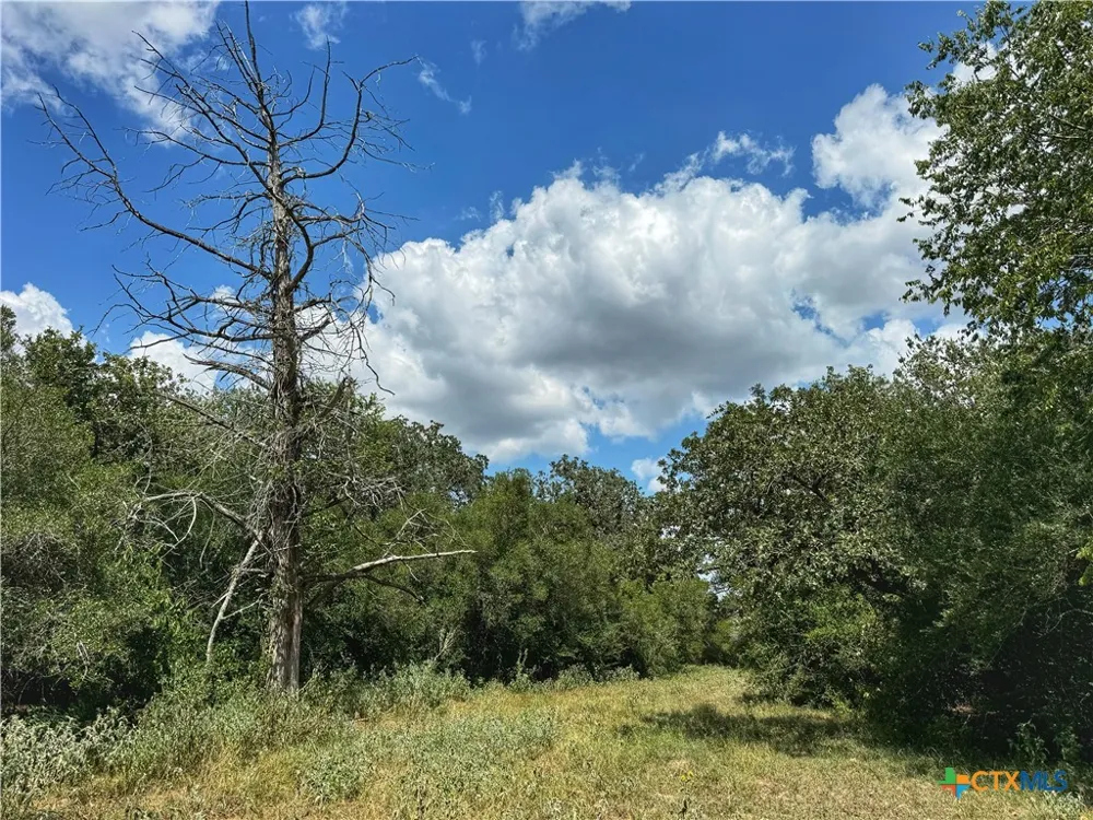 10 Highway 304 Harwood, TX 78632