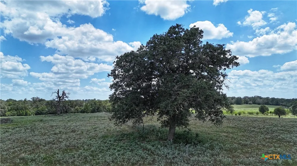 10 Highway 304 Harwood, TX 78632