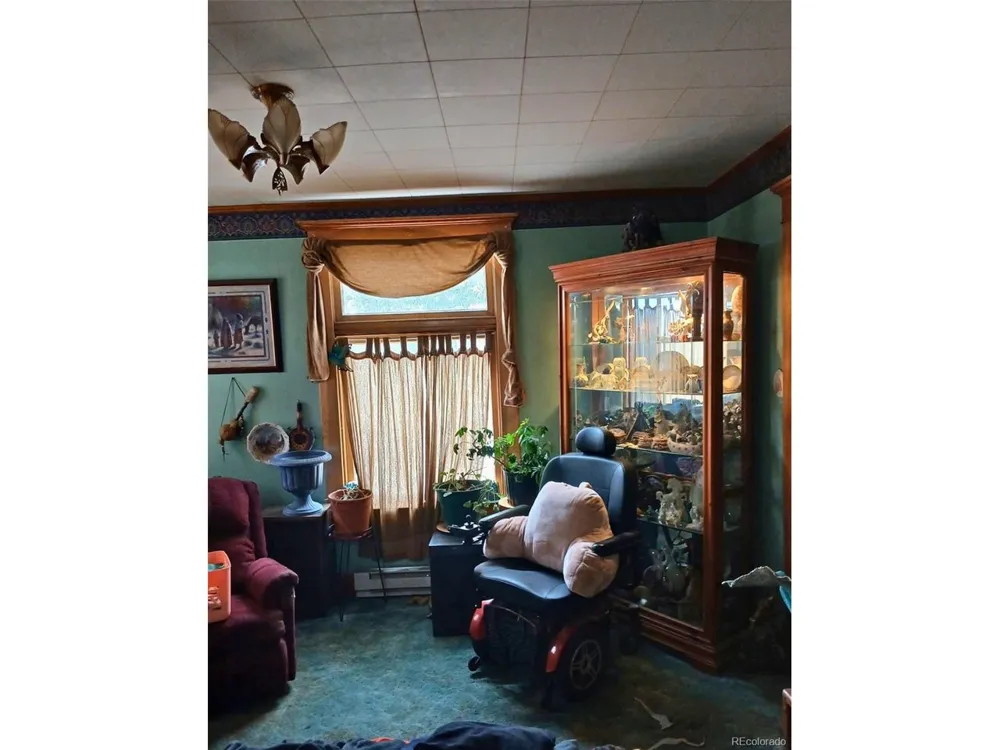 401 E Carr Avenue Cripple Creek, CO 80813