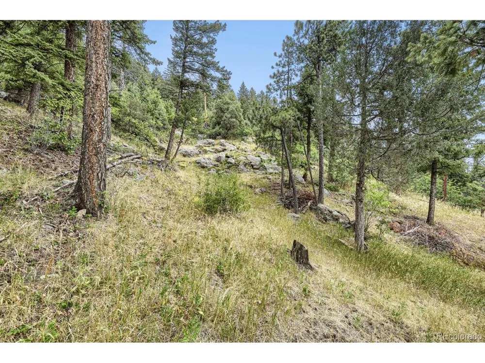 8465 US Highway 285 Morrison, CO 80465