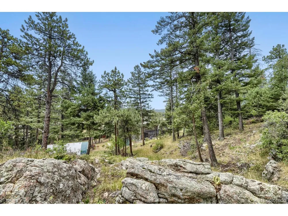 8465 US Highway 285 Morrison, CO 80465