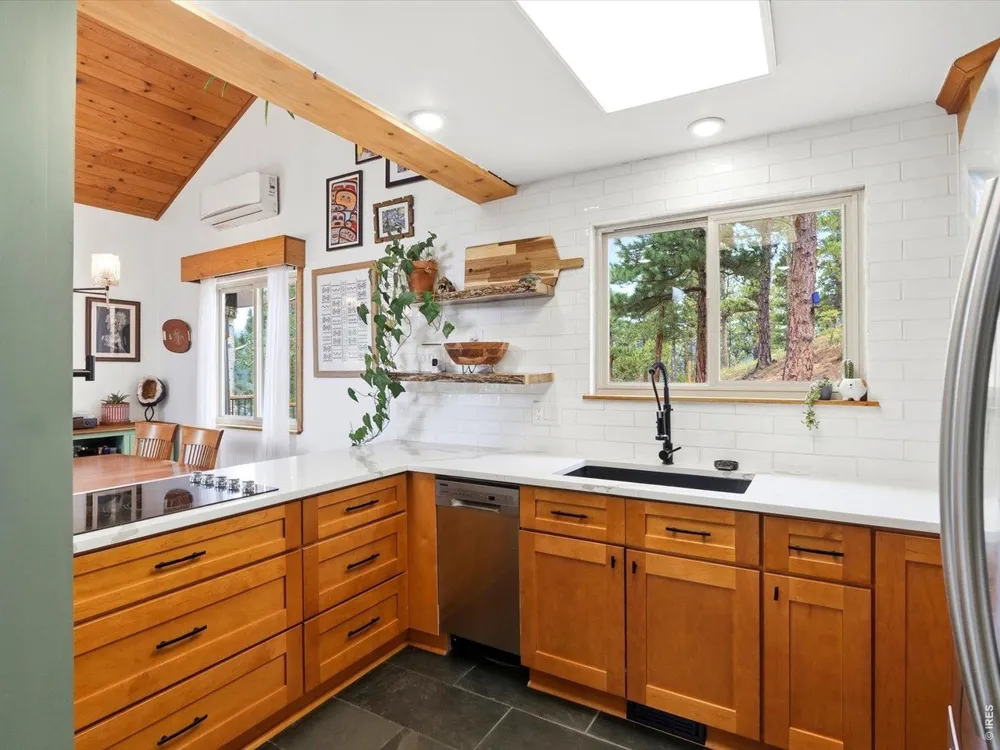 230 Alpine Drive Nederland, CO 80466