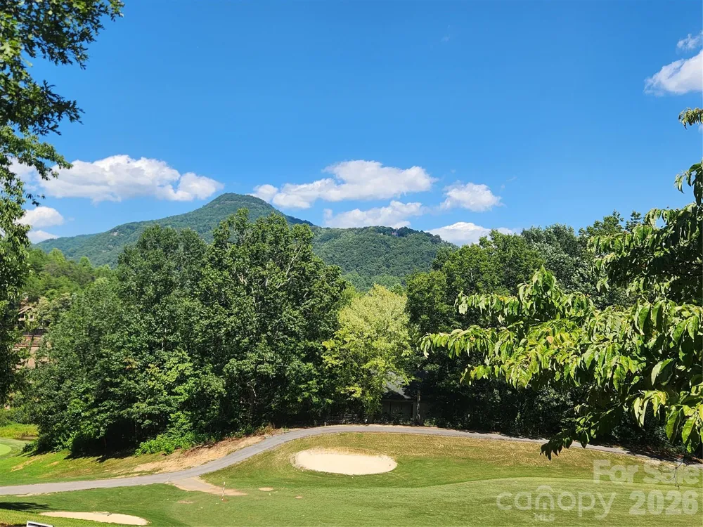 124 Huntington Road Lake Lure, NC 28746
