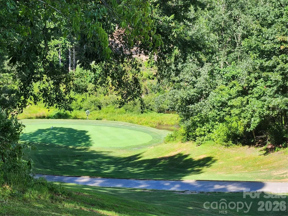 124 Huntington Road Lake Lure, NC 28746
