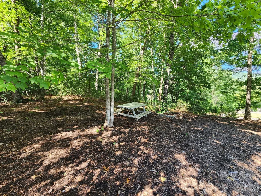 124 Huntington Road Lake Lure, NC 28746