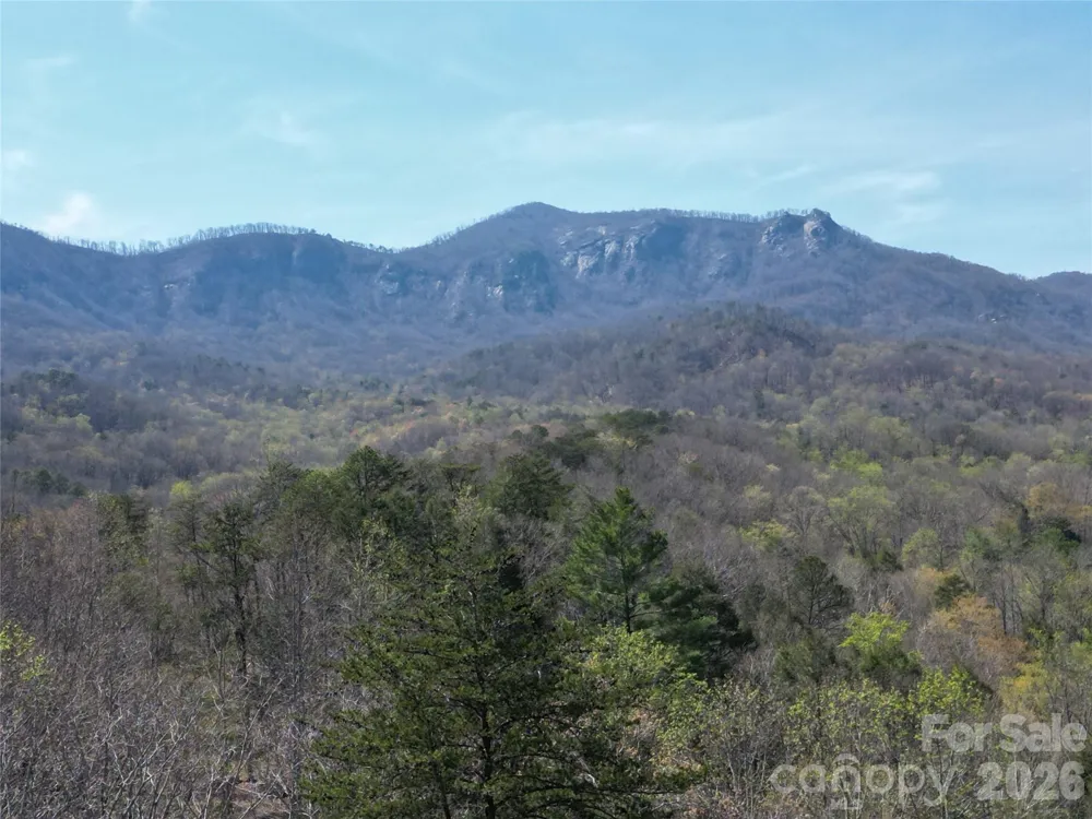 145 White Pine Drive Lake Lure, NC 28746