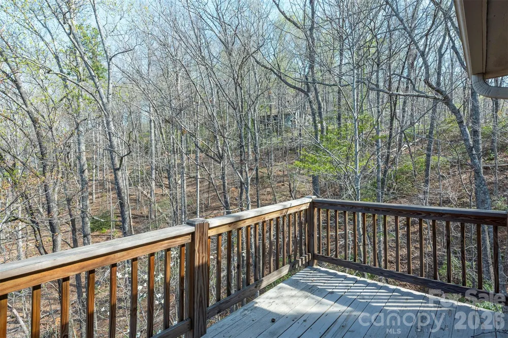 145 White Pine Drive Lake Lure, NC 28746