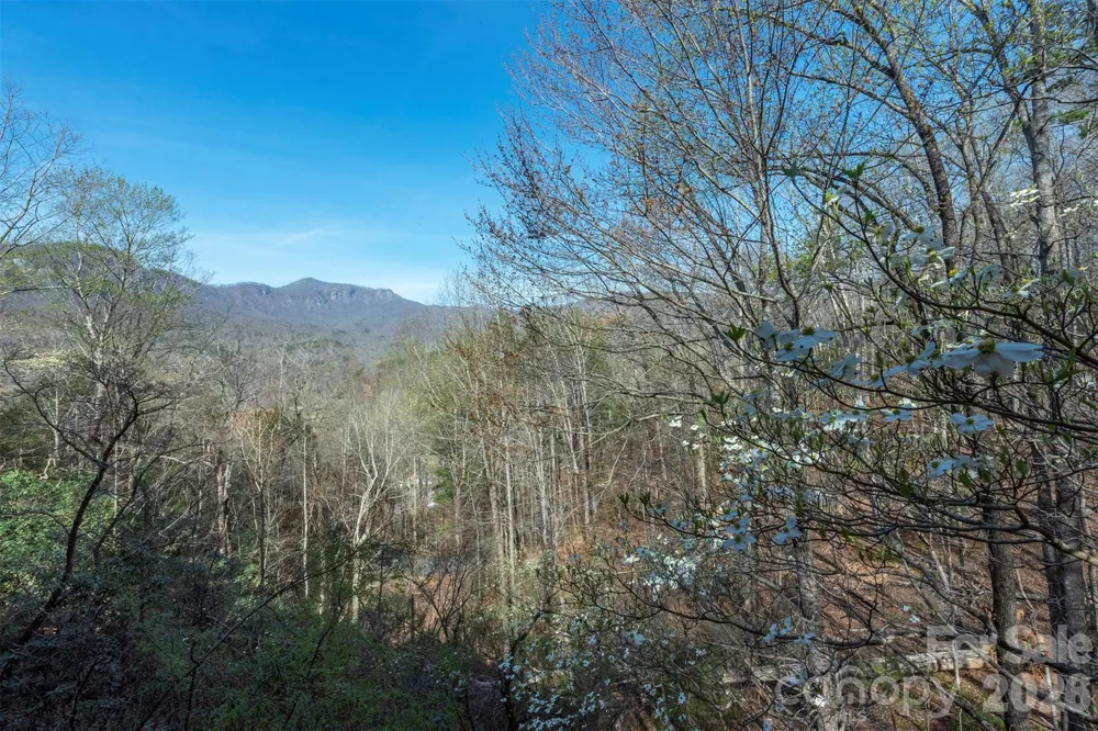145 White Pine Drive Lake Lure, NC 28746