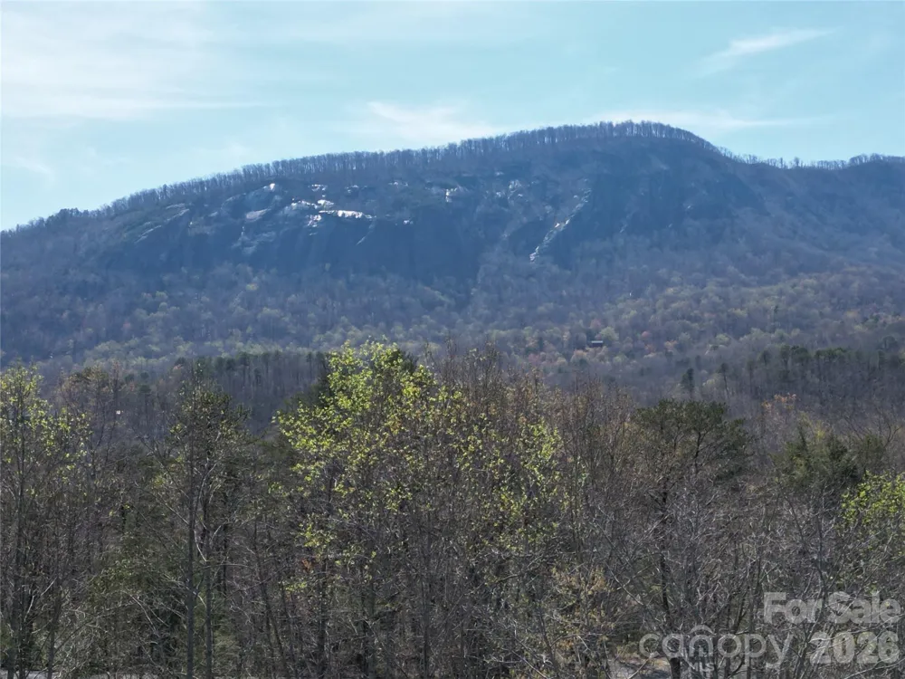 145 White Pine Drive Lake Lure, NC 28746