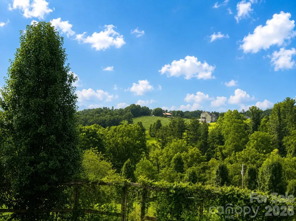 98 Tom Arthur Lane Leicester, NC 28753