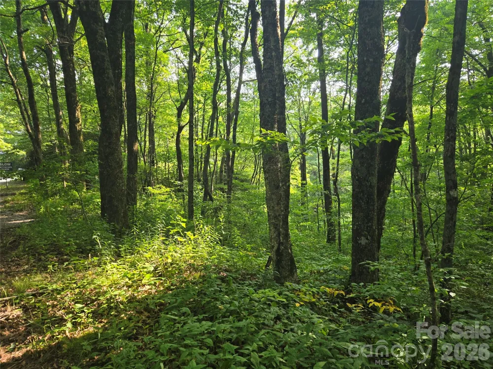000 Greenspire Drive Sylva, NC 28779