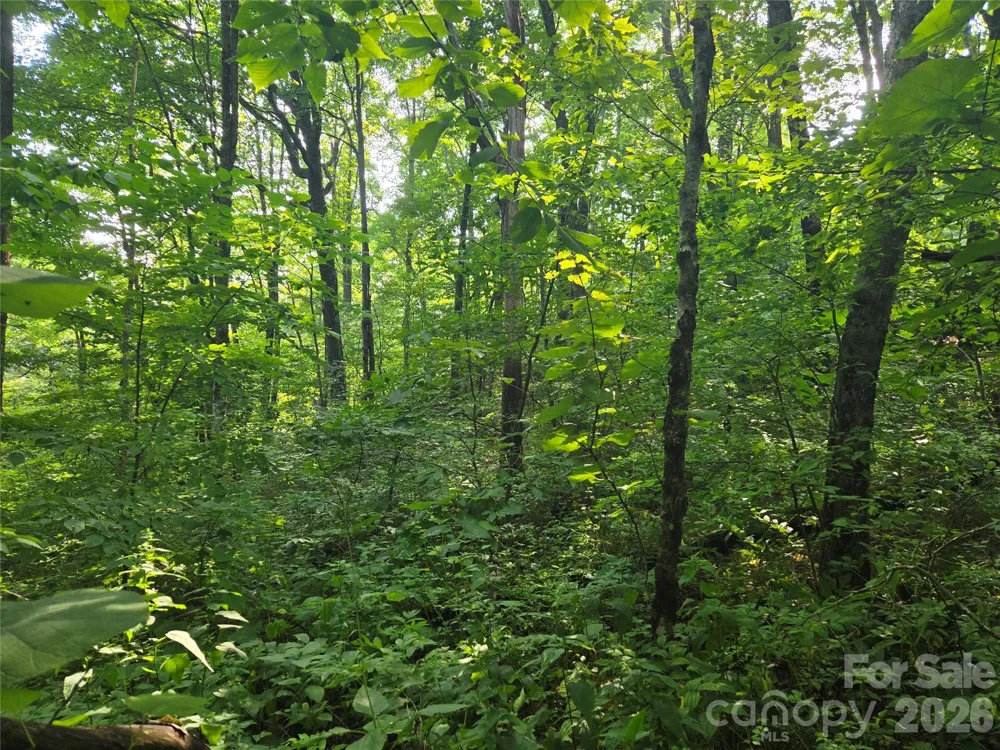 000 Greenspire Drive Sylva, NC 28779