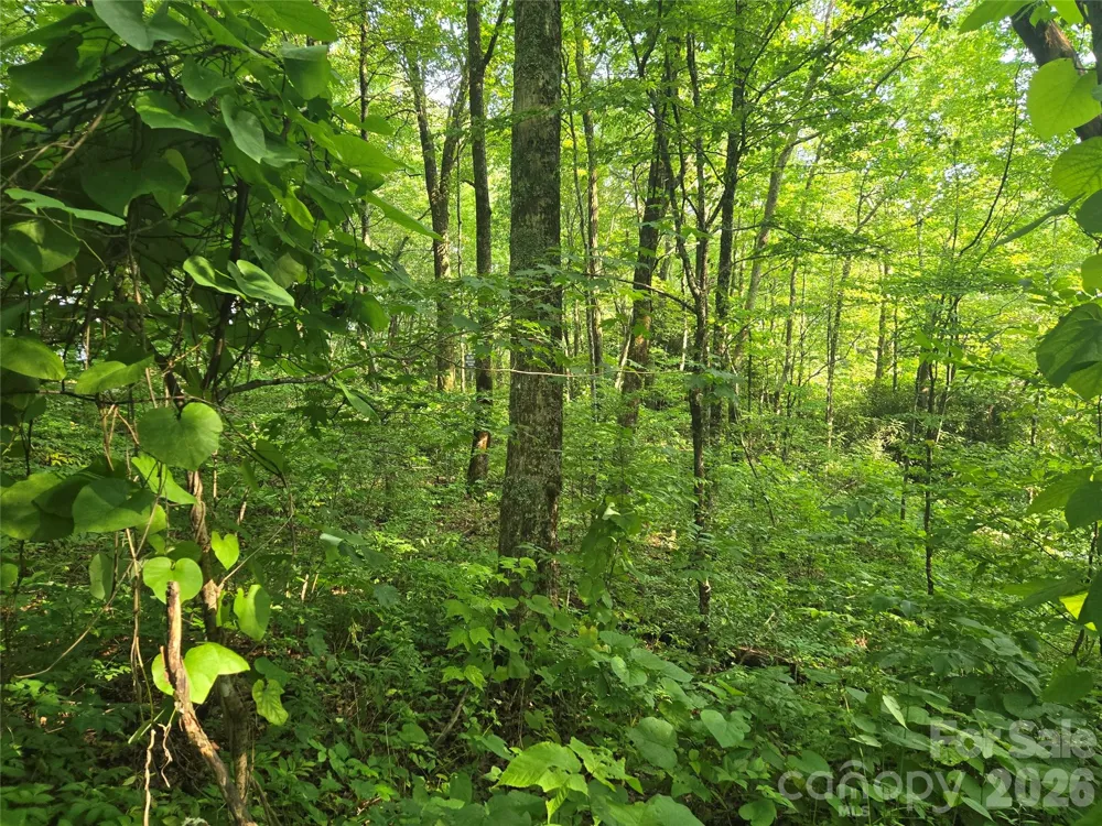000 Greenspire Drive Sylva, NC 28779