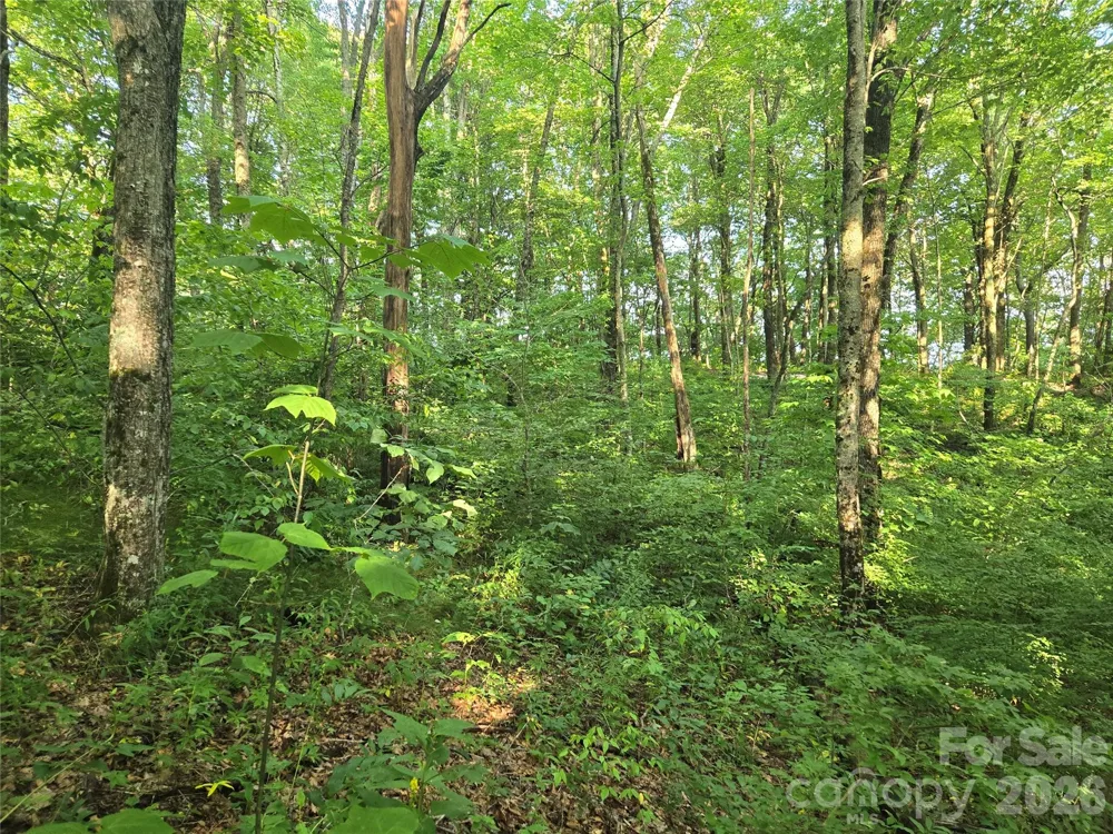 000 Greenspire Drive Sylva, NC 28779