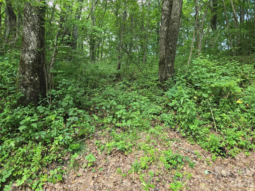 000 Greenspire Drive Sylva, NC 28779