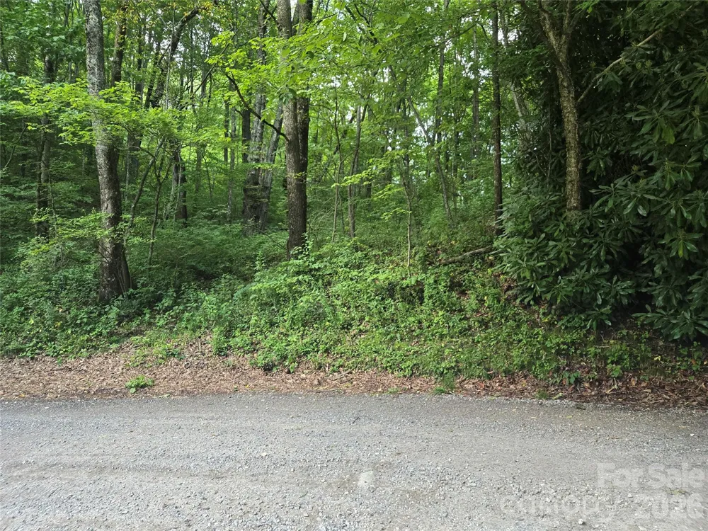 000 Greenspire Drive Sylva, NC 28779