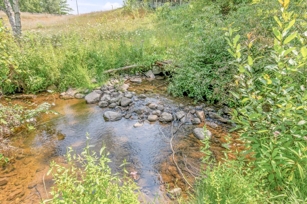 21021 19 Mile Road Big Rapids, MI 49307