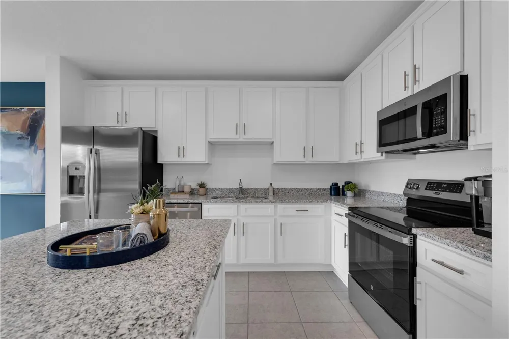 238 CUBAN ROYAL PALM WAY Davenport, FL 33897