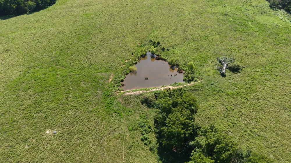 150 Piper Rd Portland, TN 37148
