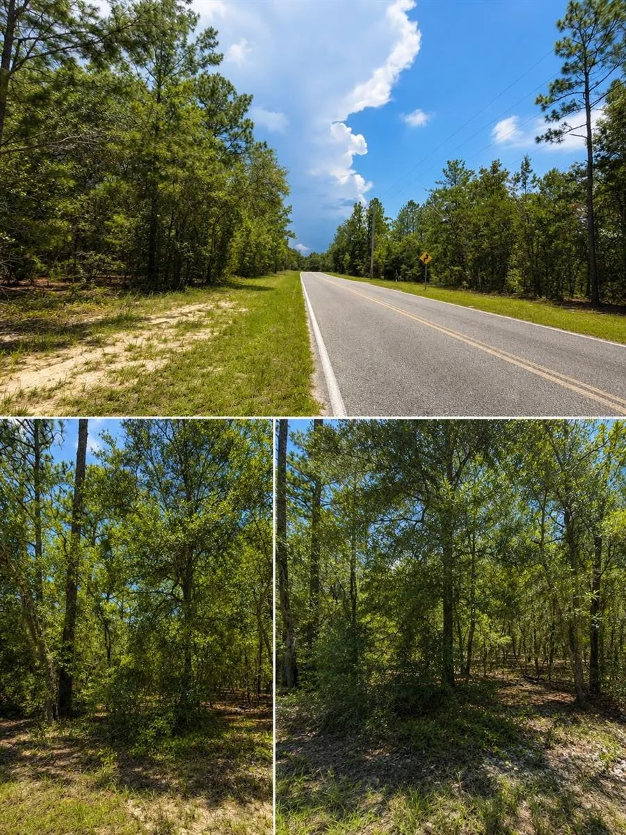 507 & 509 BADEN POWELL ROAD Hawthorne, FL 32640