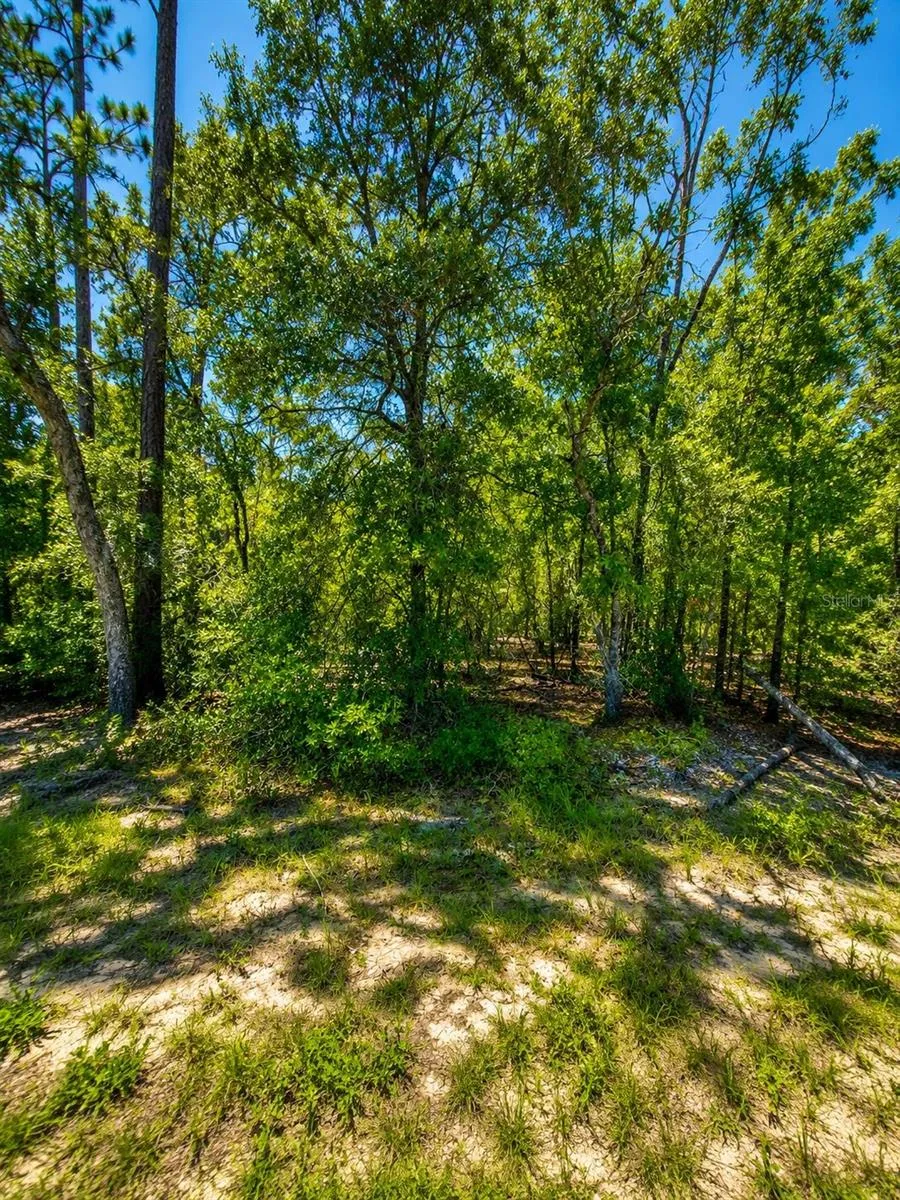507 & 509 BADEN POWELL ROAD Hawthorne, FL 32640