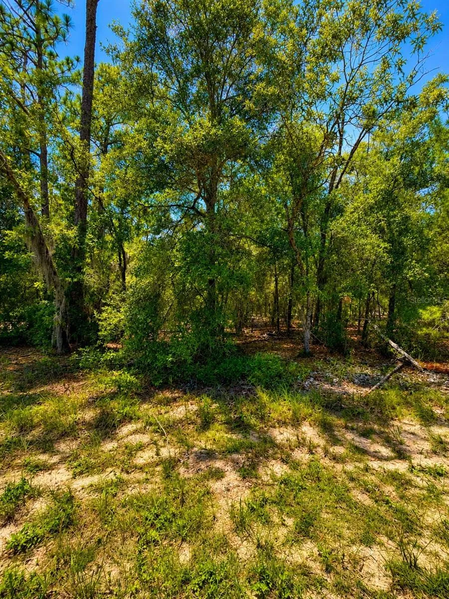 507 & 509 BADEN POWELL ROAD Hawthorne, FL 32640