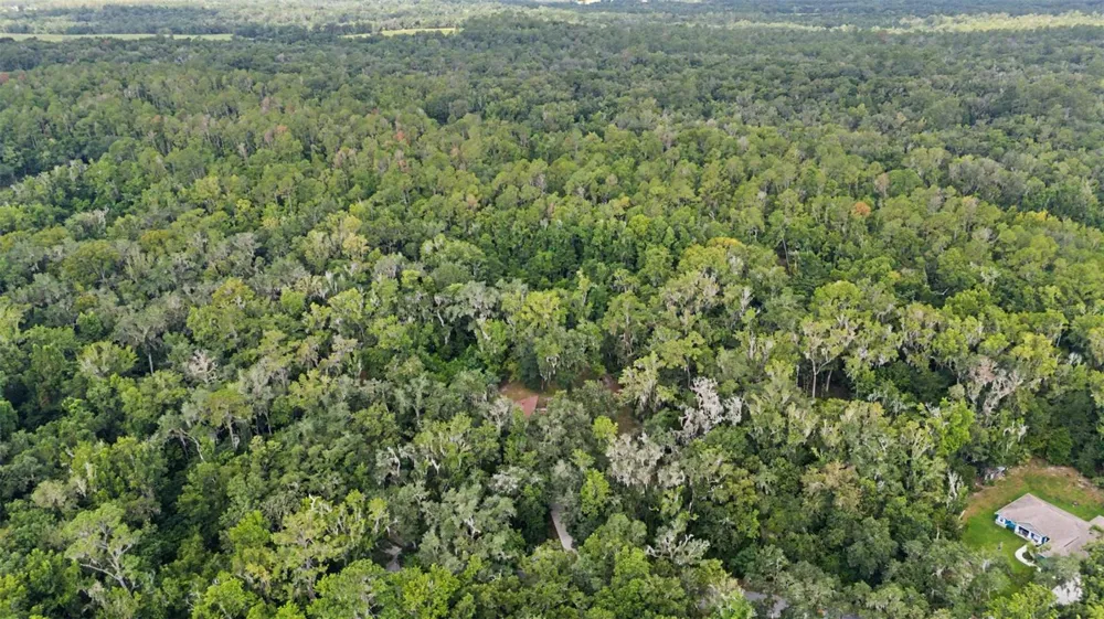 24075 WINDING CREEK DRIVE Brooksville, FL 34601