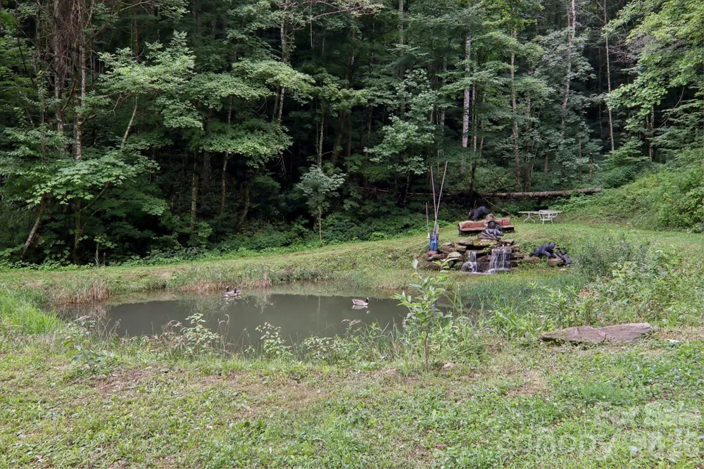 4501 Cove Creek Road Waynesville, NC 28785
