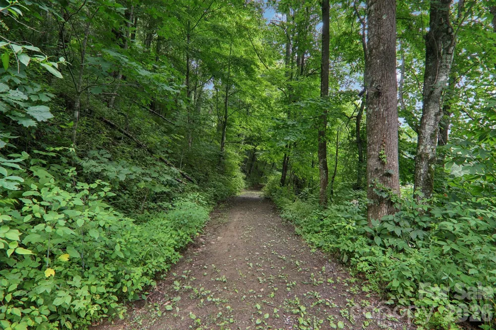 4501 Cove Creek Road Waynesville, NC 28785