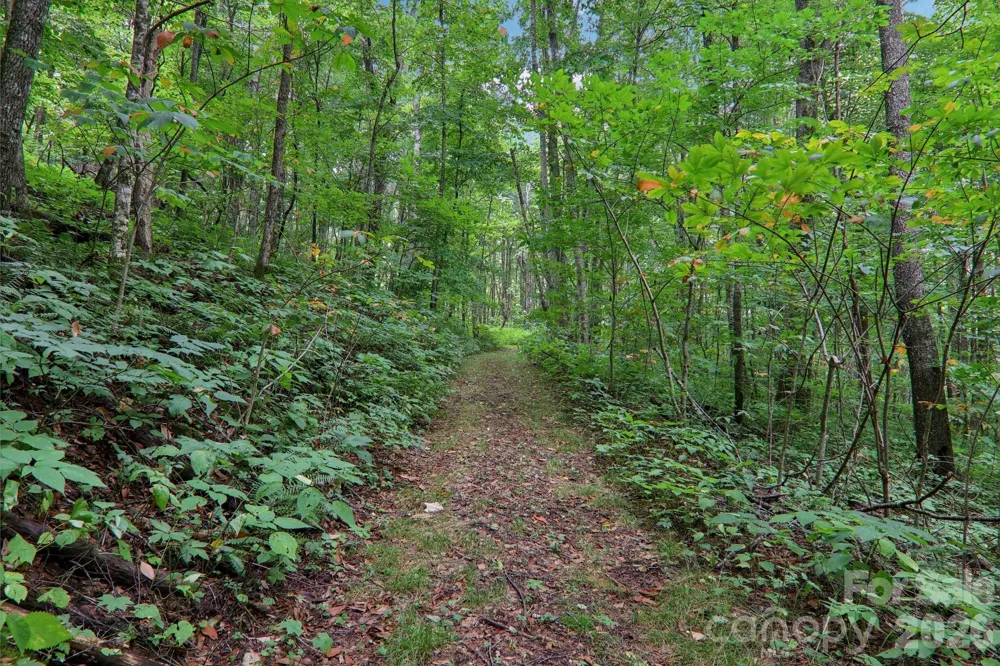 4501 Cove Creek Road Waynesville, NC 28785