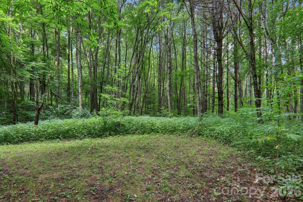 4501 Cove Creek Road Waynesville, NC 28785
