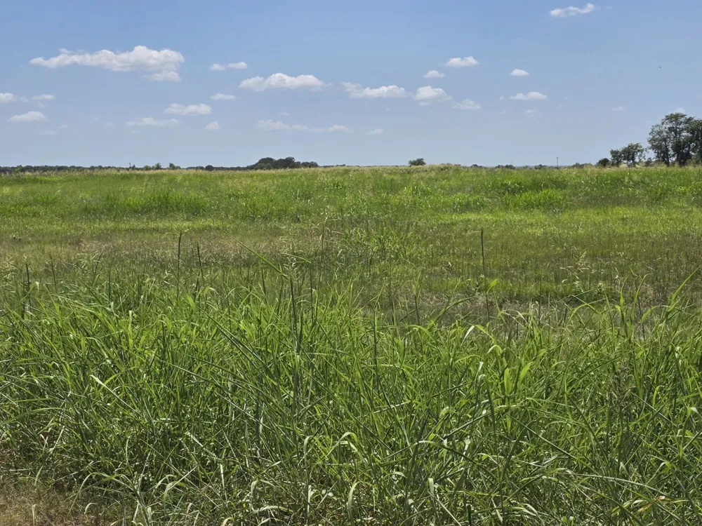 Meadow Circle Lone Oak, TX 75453