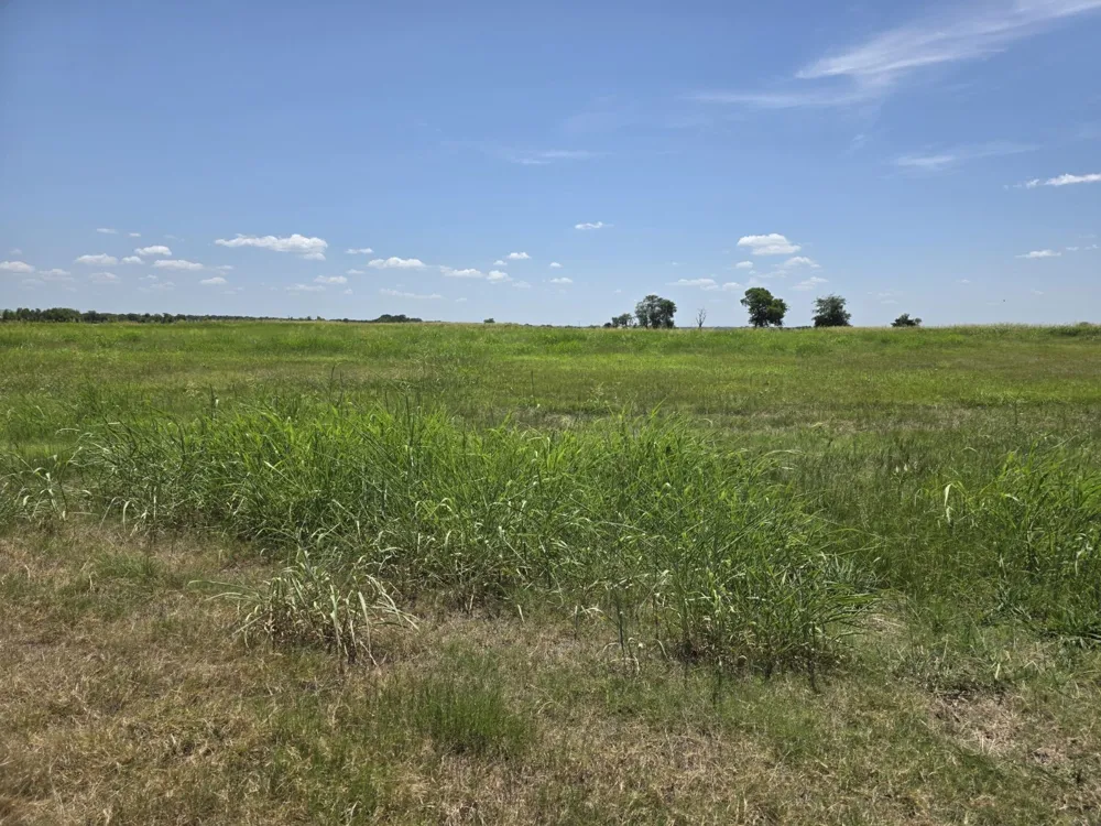Meadow Circle Lone Oak, TX 75453