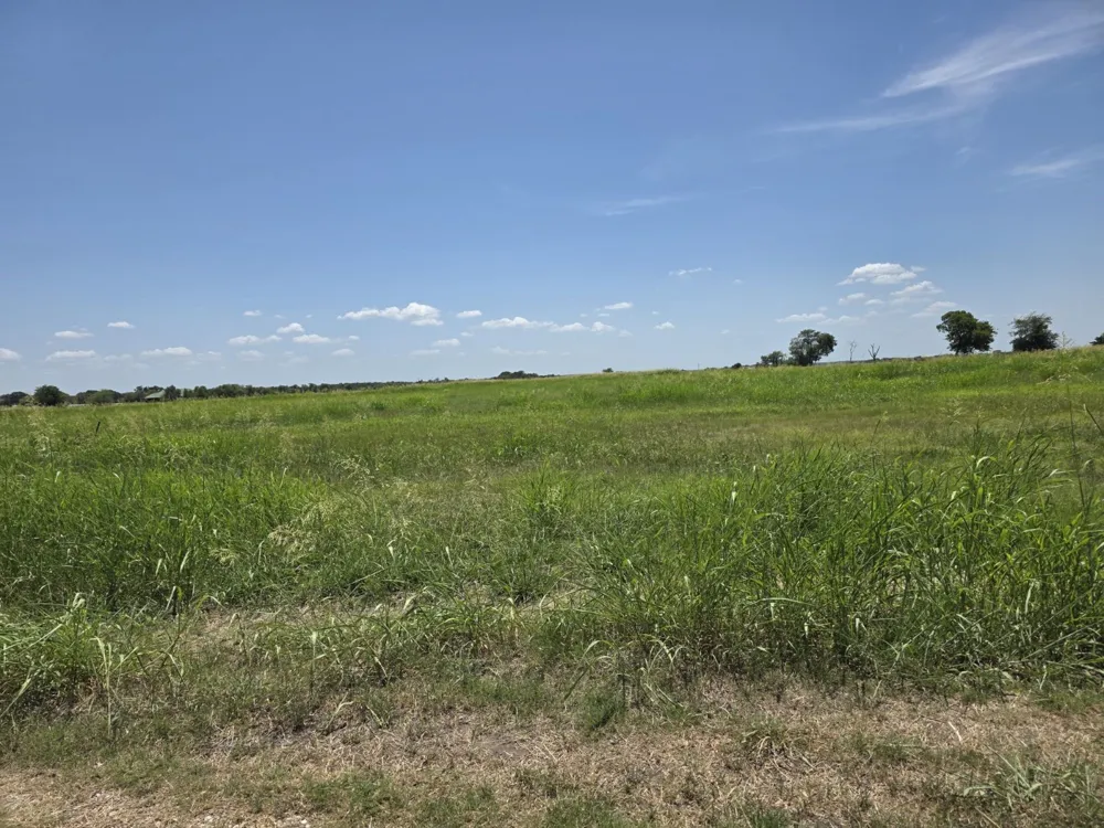 Meadow Circle Lone Oak, TX 75453