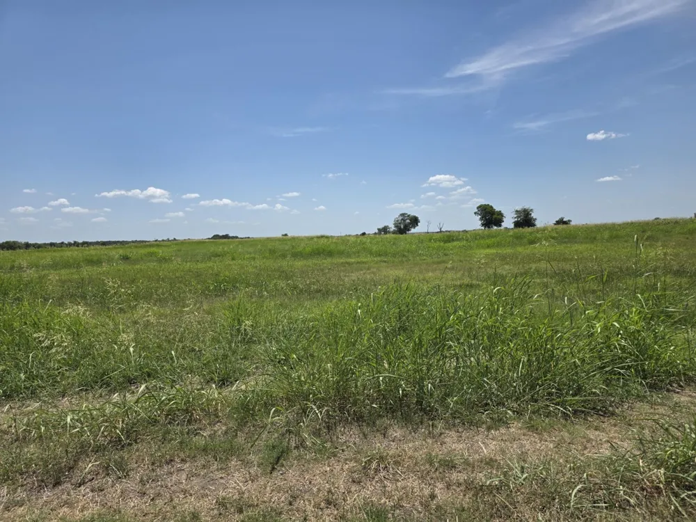 Meadow Circle Lone Oak, TX 75453