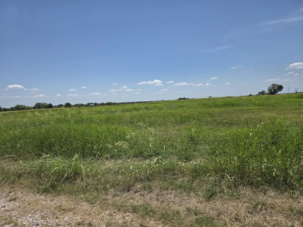 Meadow Circle Lone Oak, TX 75453