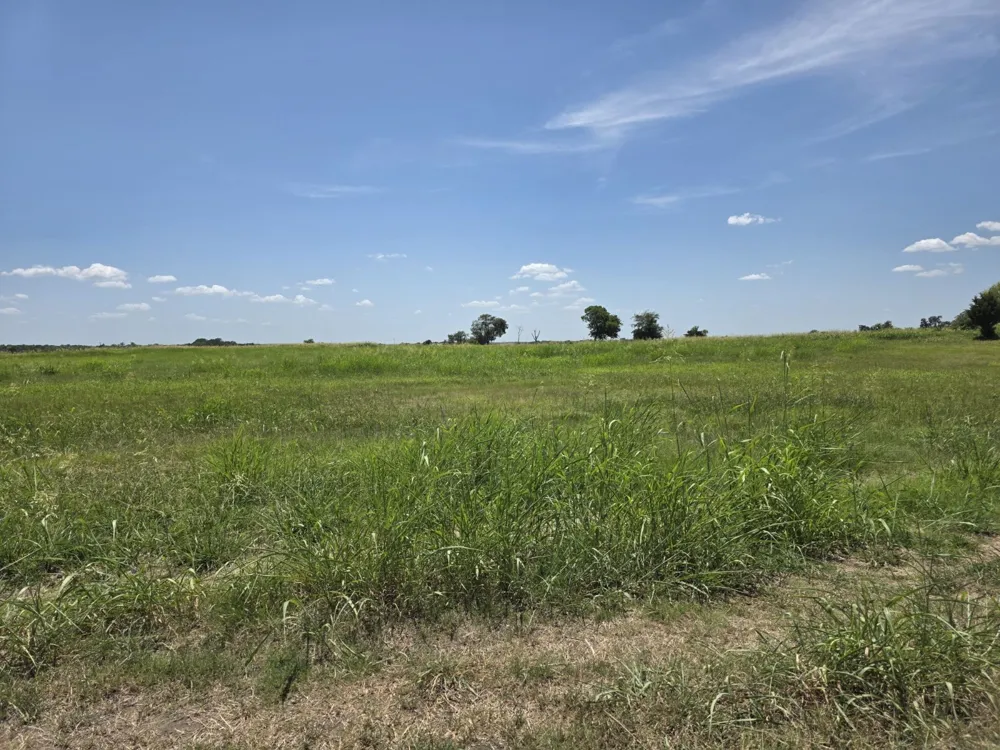 Meadow Circle Lone Oak, TX 75453