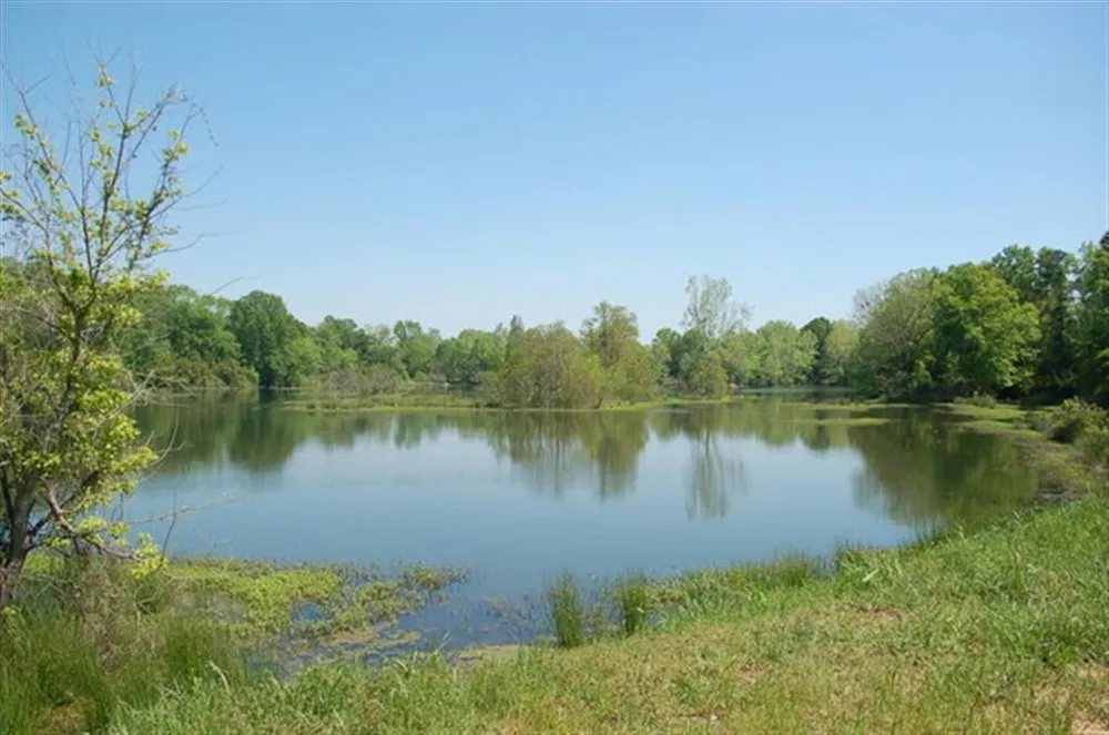 686 Railroad Avenue North Augusta, SC 29841