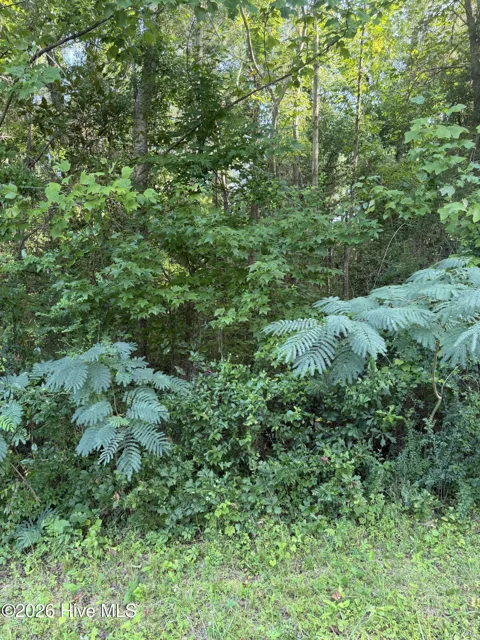 1197 Green Springs Road
