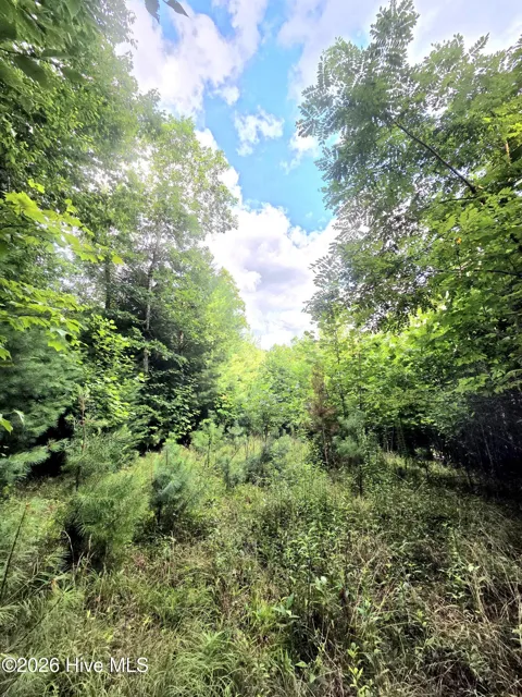 50 Camp Branch Road