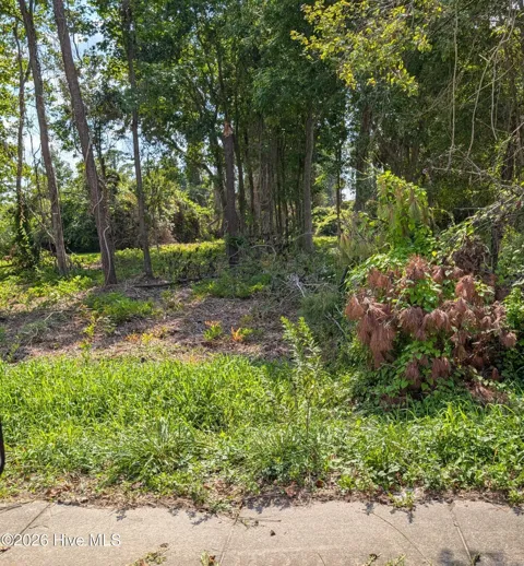 852 Bell Fork Road
