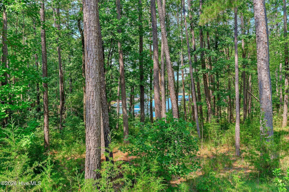229 Windy Circle Mccormick, SC 29835
