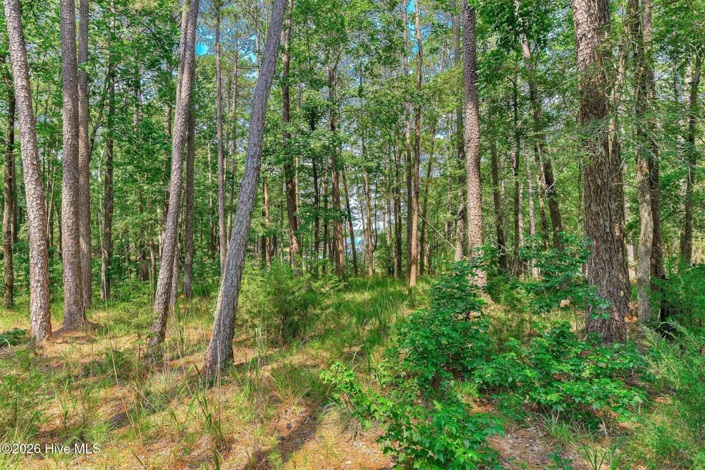 229 Windy Circle Mccormick, SC 29835