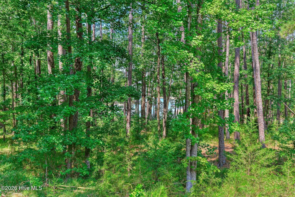 229 Windy Circle Mccormick, SC 29835