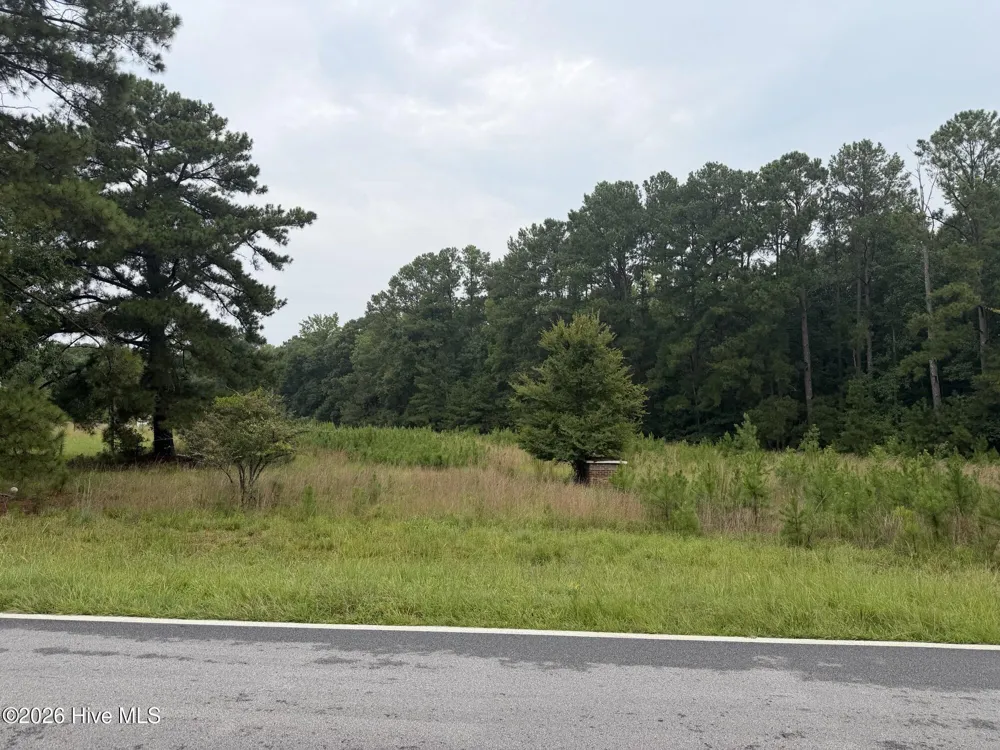 0 Mayfield Road Warrenton, GA 30828