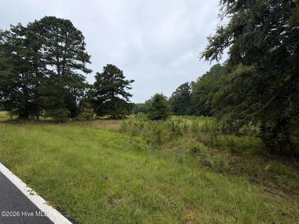 0 Mayfield Road Warrenton, GA 30828