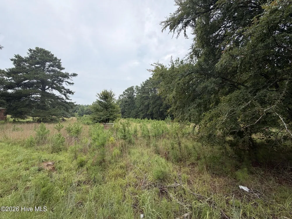 0 Mayfield Road Warrenton, GA 30828
