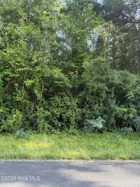 1199 Green Springs Road